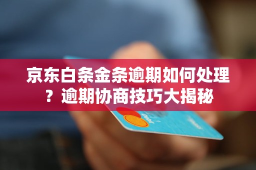 京东白条金条逾期如何处理？逾期协商技巧大揭秘