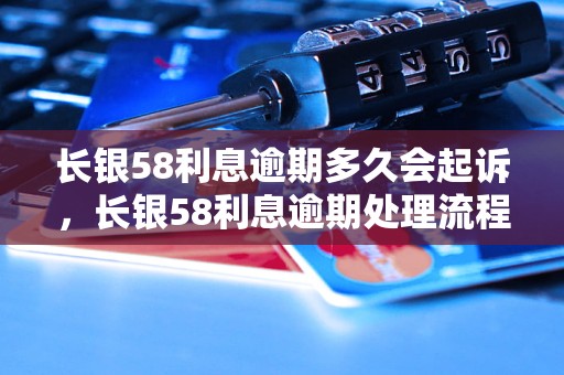 长银58利息逾期多久会起诉，长银58利息逾期处理流程详解