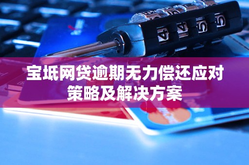 宝坻网贷逾期无力偿还应对策略及解决方案