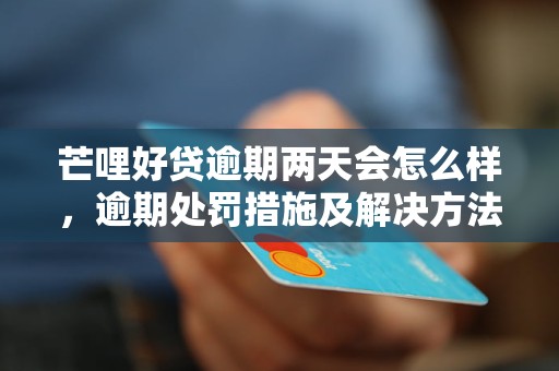 芒哩好贷逾期两天会怎么样，逾期处罚措施及解决方法