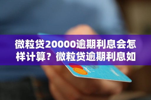 微粒贷20000逾期利息会怎样计算？微粒贷逾期利息如何缴纳？