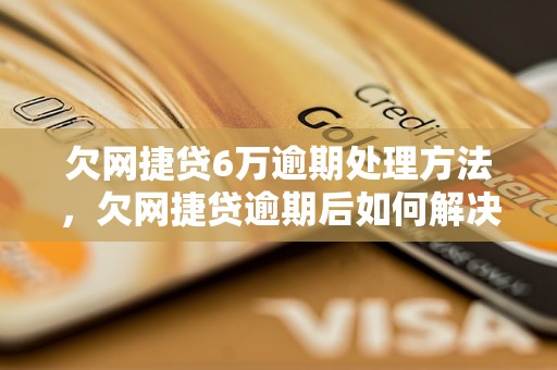 欠网捷贷6万逾期处理方法，欠网捷贷逾期后如何解决