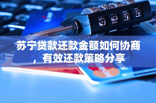 苏宁贷款还款金额如何协商，有效还款策略分享