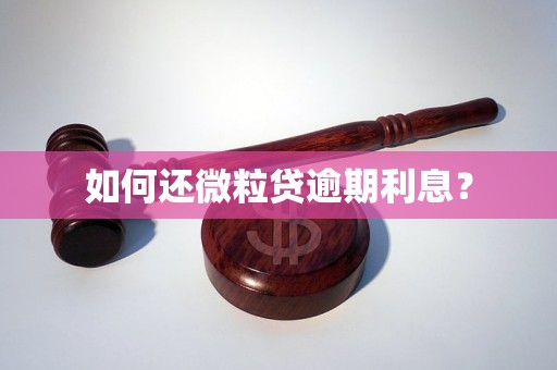 如何还微粒贷逾期利息？