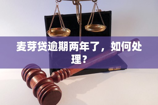 麦芽贷逾期两年了，如何处理？