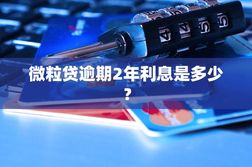 微粒贷逾期2年利息是多少？