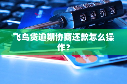 飞鸟贷逾期协商还款怎么操作？