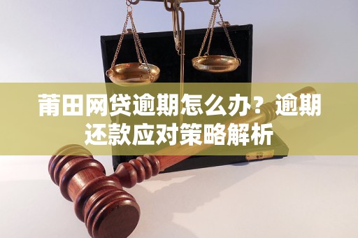 莆田网贷逾期怎么办？逾期还款应对策略解析