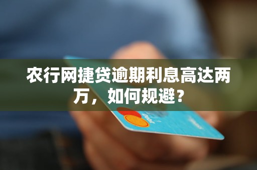 农行网捷贷逾期利息高达两万，如何规避？