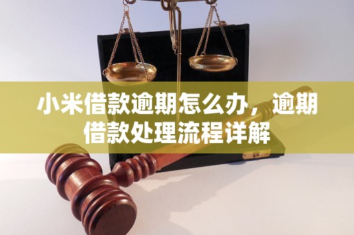 小米借款逾期怎么办，逾期借款处理流程详解