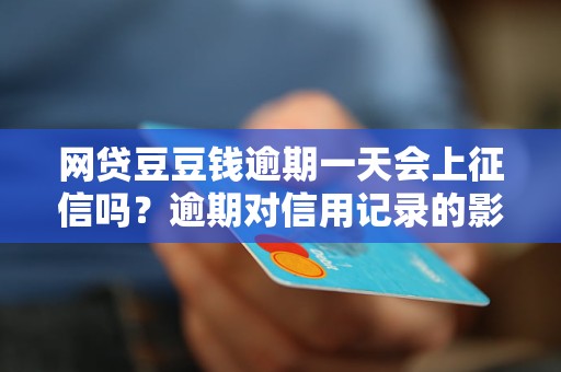 网贷豆豆钱逾期一天会上征信吗？逾期对信用记录的影响详解