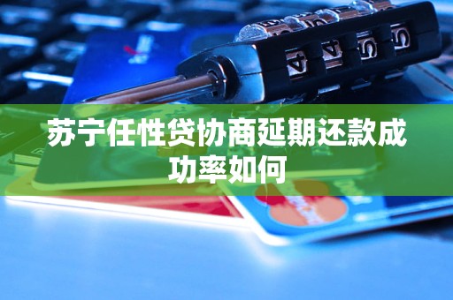 苏宁任性贷协商延期还款成功率如何