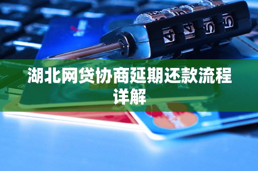 湖北网贷协商延期还款流程详解