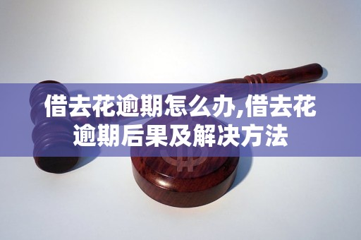 借去花逾期怎么办,借去花逾期后果及解决方法