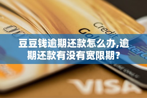 豆豆钱逾期还款怎么办,逾期还款有没有宽限期？