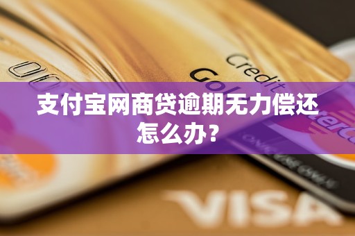 支付宝网商贷逾期无力偿还怎么办？