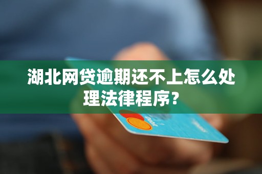 湖北网贷逾期还不上怎么处理法律程序？