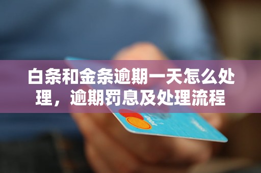 白条和金条逾期一天怎么处理，逾期罚息及处理流程