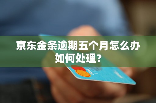 京东金条逾期五个月怎么办如何处理？