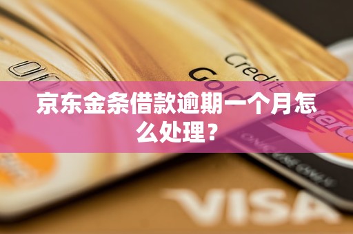 京东金条借款逾期一个月怎么处理？