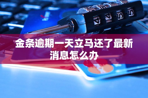 金条逾期一天立马还了最新消息怎么办