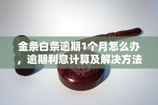 金条白条逾期1个月怎么办，逾期利息计算及解决方法