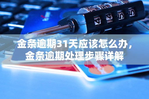 金条逾期31天应该怎么办，金条逾期处理步骤详解