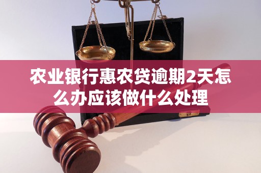 农业银行惠农贷逾期2天怎么办应该做什么处理