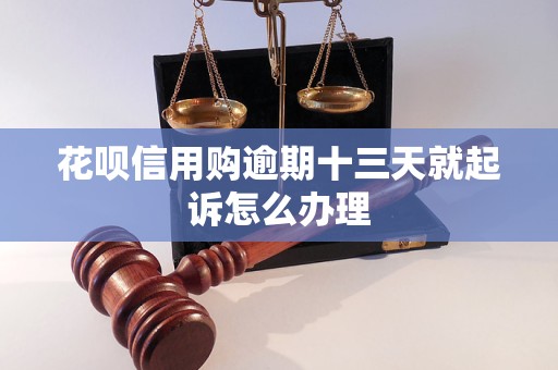 花呗信用购逾期十三天就起诉怎么办理