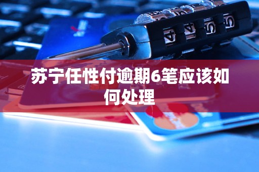 苏宁任性付逾期6笔应该如何处理