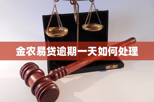 金农易贷逾期一天如何处理