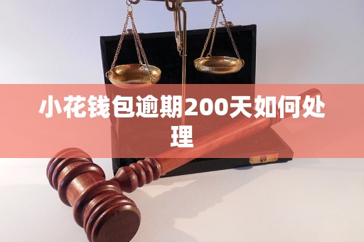 小花钱包逾期200天如何处理