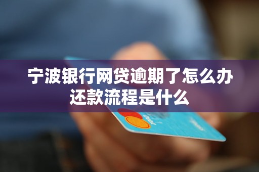 宁波银行网贷逾期了怎么办还款流程是什么
