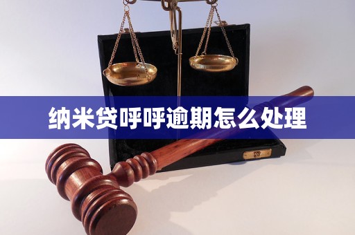 纳米贷呼呼逾期怎么处理