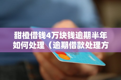 甜橙借钱4万块钱逾期半年如何处理（逾期借款处理方法详解）