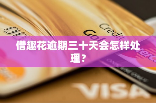 借趣花逾期三十天会怎样处理？