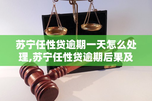苏宁任性贷逾期一天怎么处理,苏宁任性贷逾期后果及解决方法