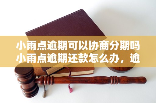 小雨点逾期可以协商分期吗小雨点逾期还款怎么办，逾期还款分期方案介绍