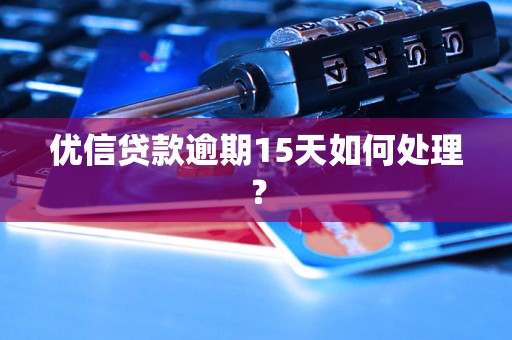优信贷款逾期15天如何处理？