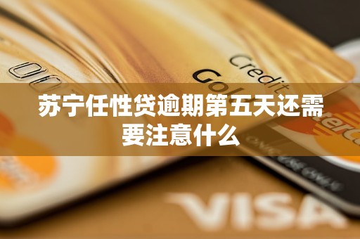 苏宁任性贷逾期第五天还需要注意什么