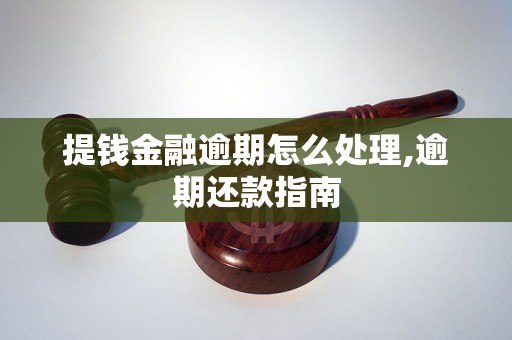 提钱金融逾期怎么处理,逾期还款指南