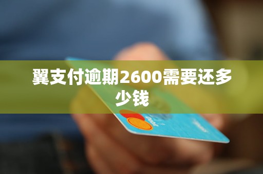 翼支付逾期2600需要还多少钱