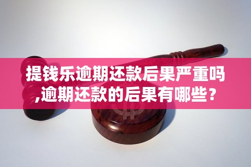 提钱乐逾期还款后果严重吗,逾期还款的后果有哪些？