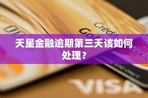 天星金融逾期第三天该如何处理？