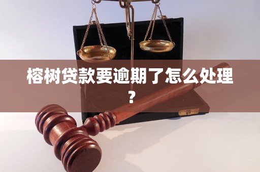 榕树贷款要逾期了怎么处理？