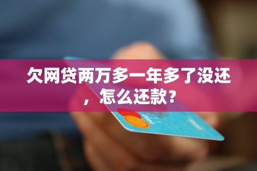 欠网贷两万多一年多了没还，怎么还款？