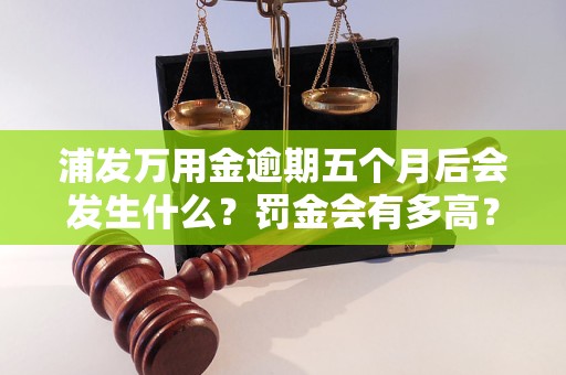 浦发万用金逾期五个月后会发生什么？罚金会有多高？