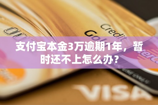 支付宝本金3万逾期1年，暂时还不上怎么办？