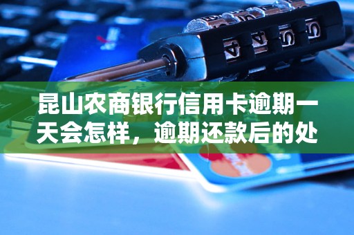 昆山农商银行信用卡逾期一天会怎样，逾期还款后的处罚是什么