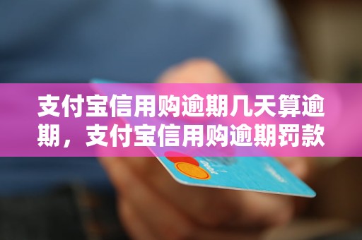支付宝信用购逾期几天算逾期，支付宝信用购逾期罚款标准